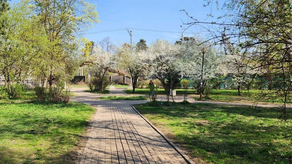 Фото: Валерия Исаева