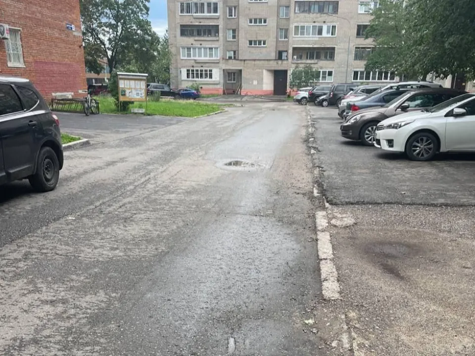 Фото: пресс-служба администрации г.о. Черноголовка