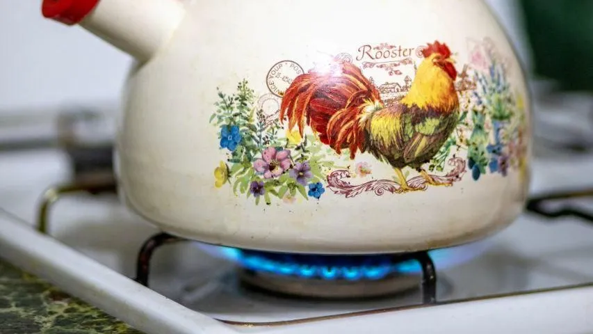 Фото: АО «Мособлгаз»