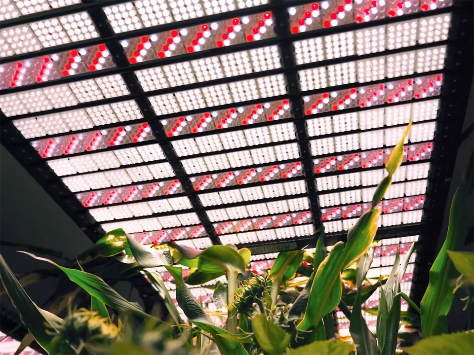 Фото: Компания «Щелково Агрохим»