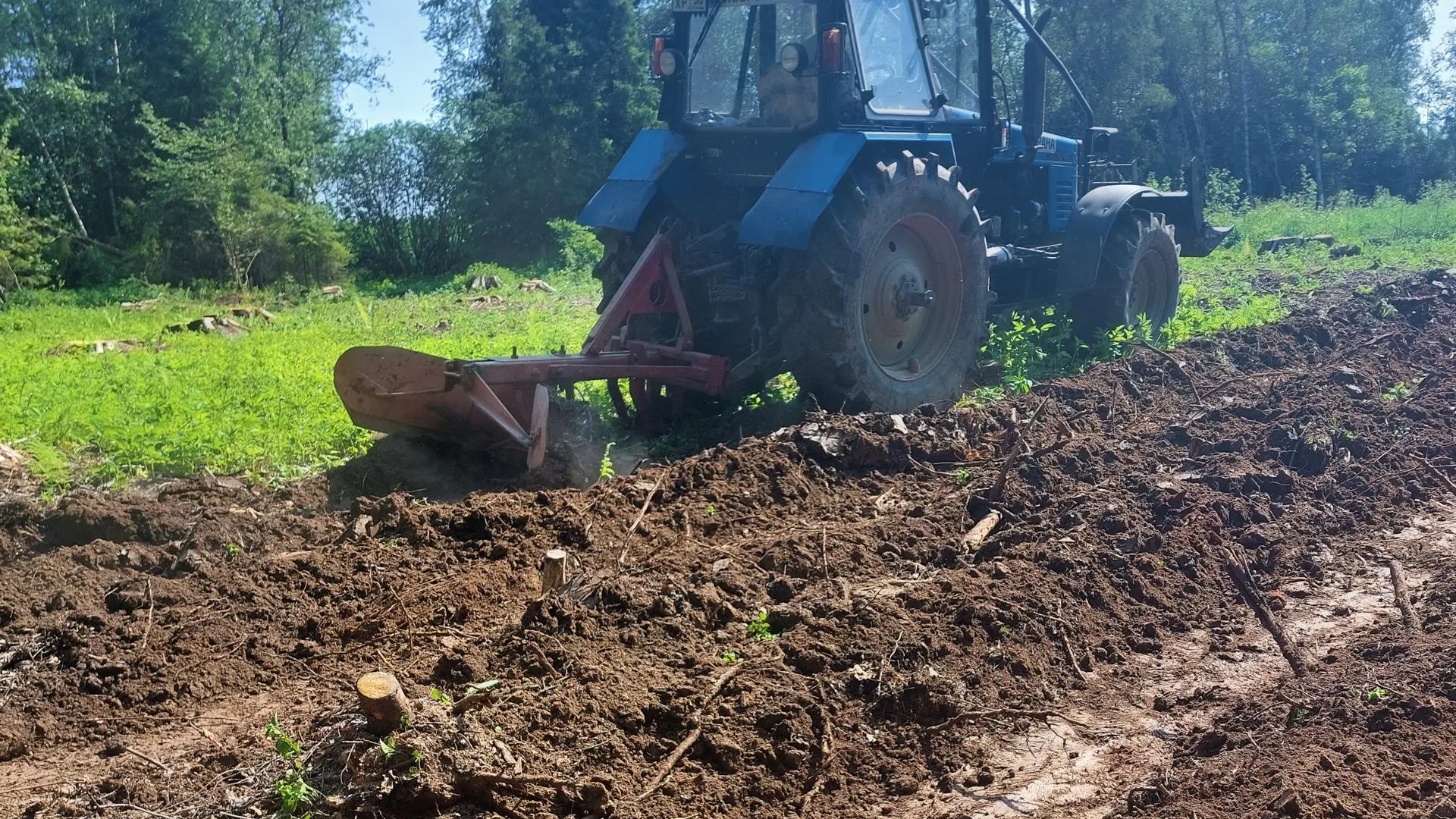 Фото: пресс-служба Комитета лесного хозяйства Московской области