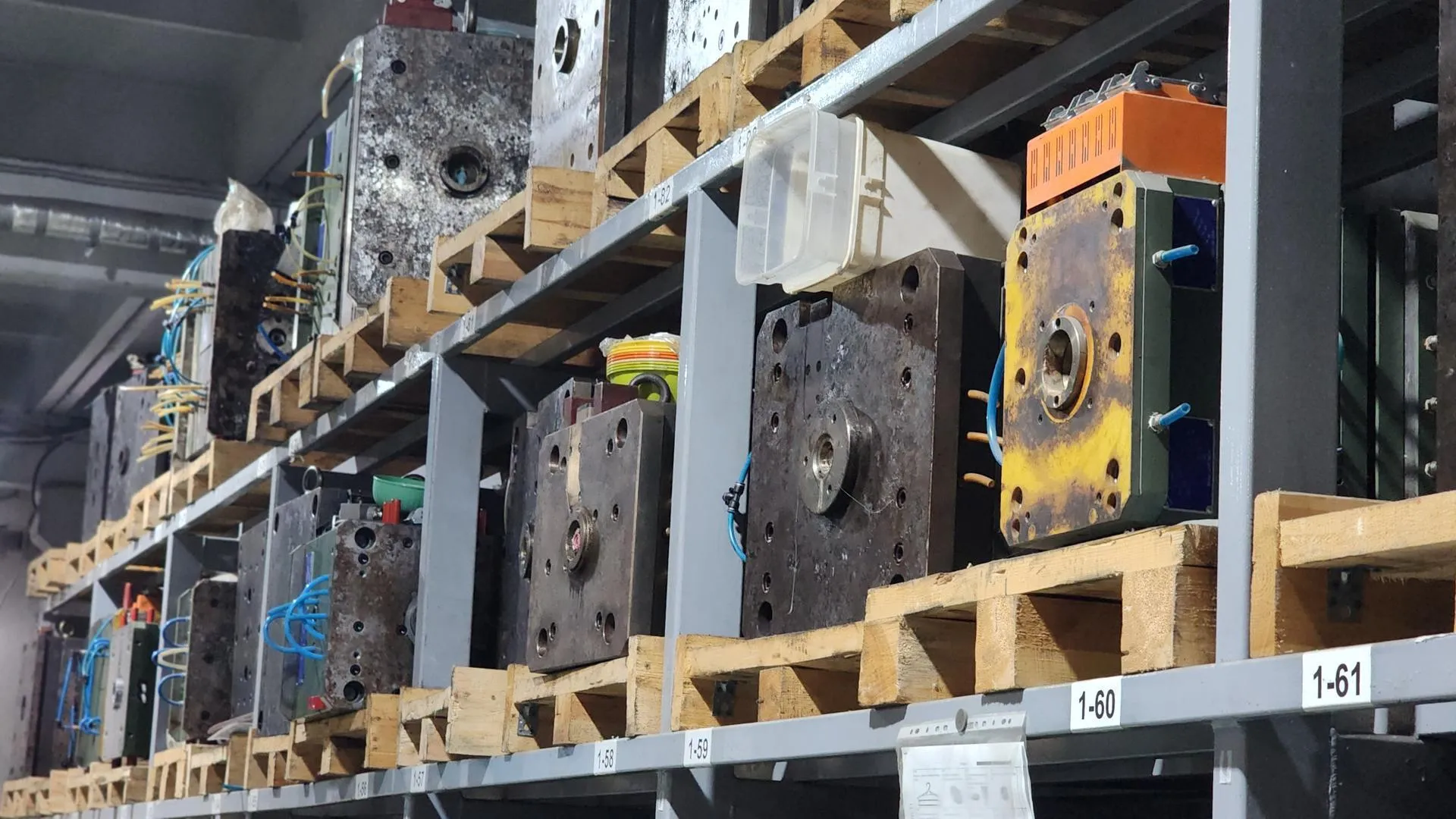 REGIONS/Валерия Тингаева