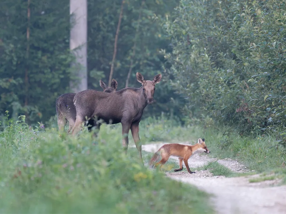 Фото: Александр Бакланов