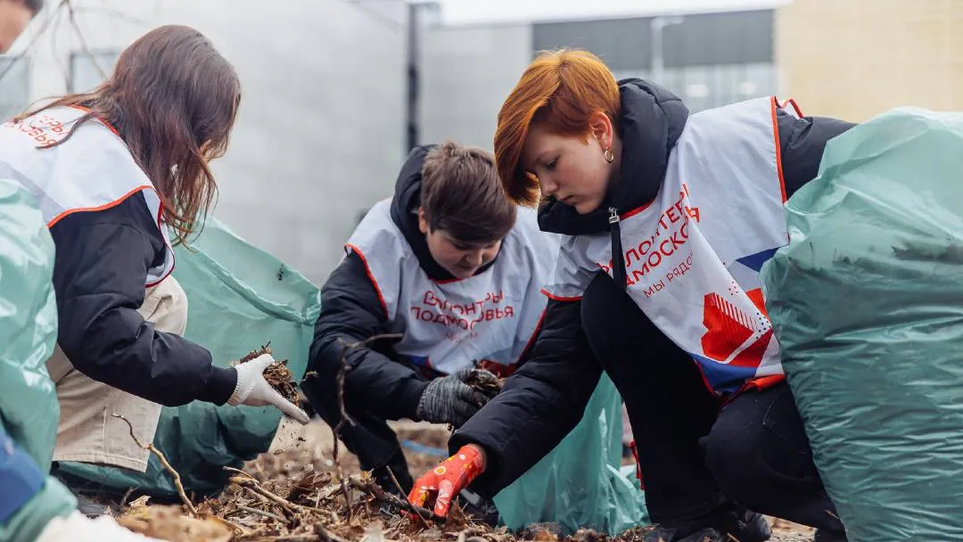 Фото: телевидение "Аист"