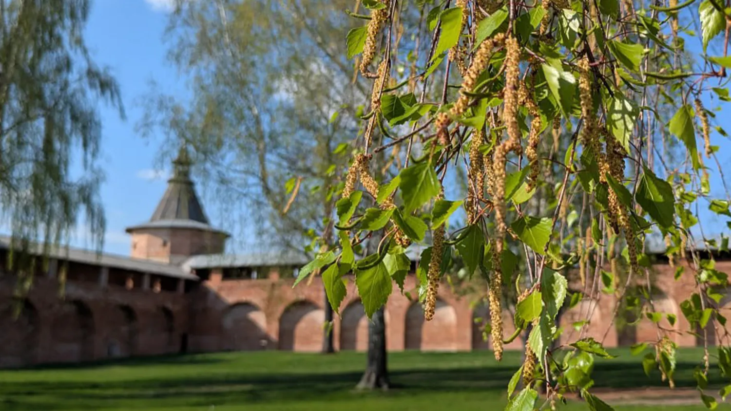 Фото: ГМЗ «Зарайский кремль»