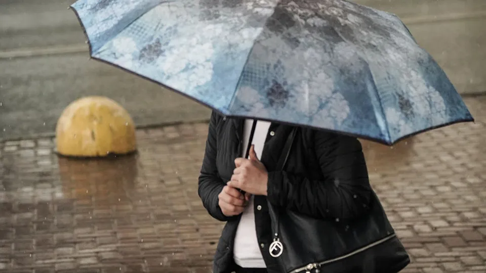 Фото: Медиаархив Подмосковья