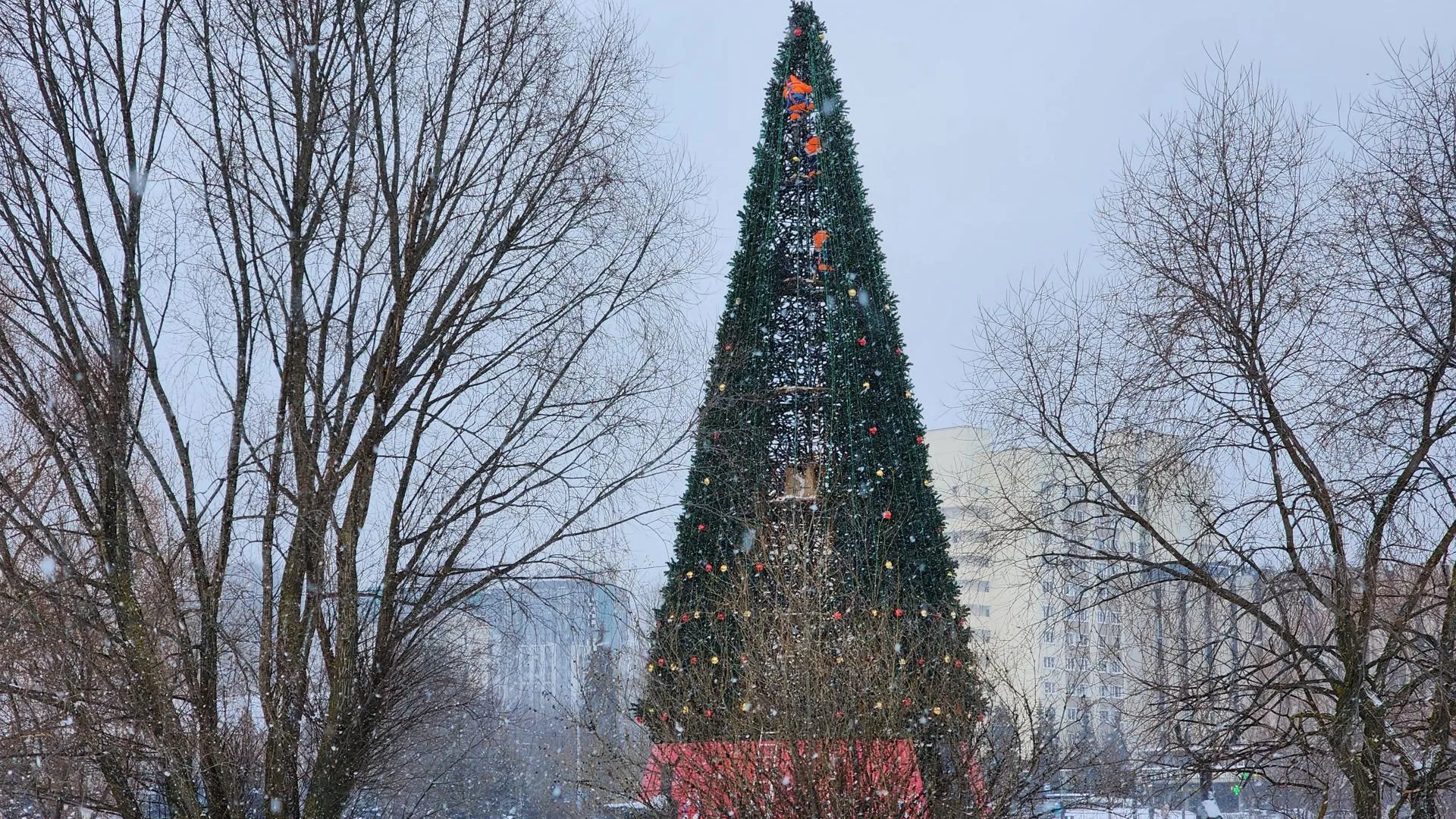 Сморкалов Никита