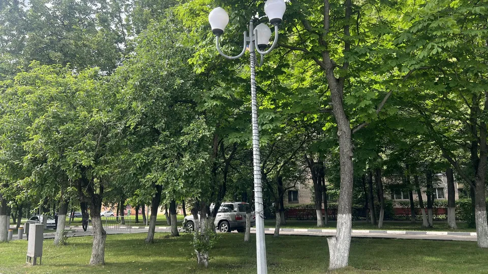 Фото: администрация г.о. Реутова