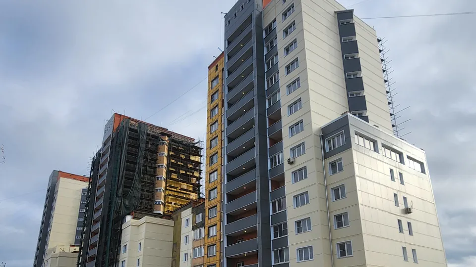 Фото: МедиаБанк Подмосковья/Дмитрий Алексеенко