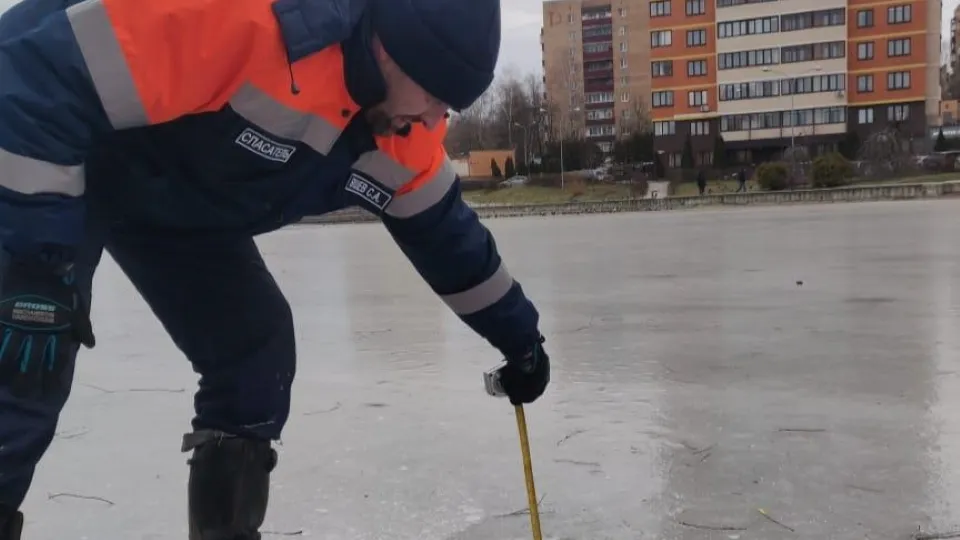 Фото: Администрация г.о. Чехов