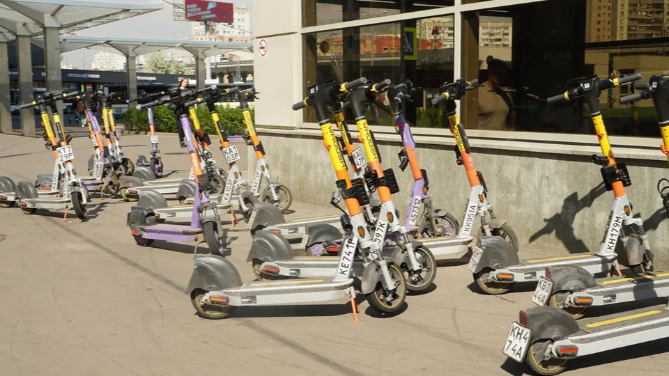 Фото: Дарья Антифьева