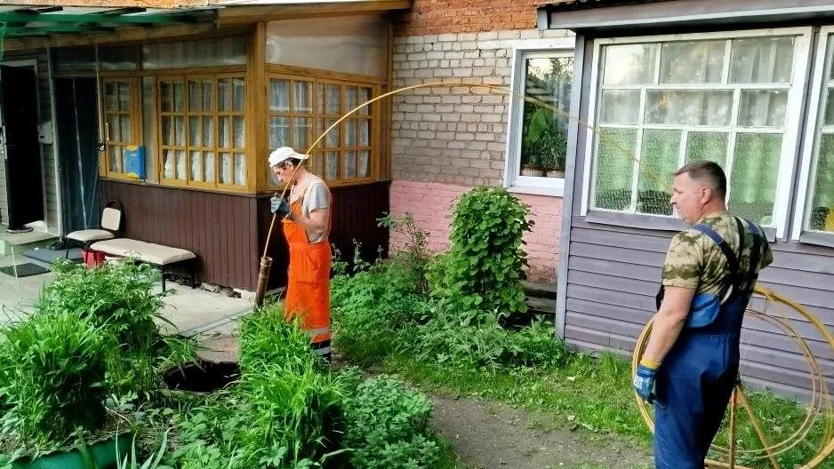 Картинка