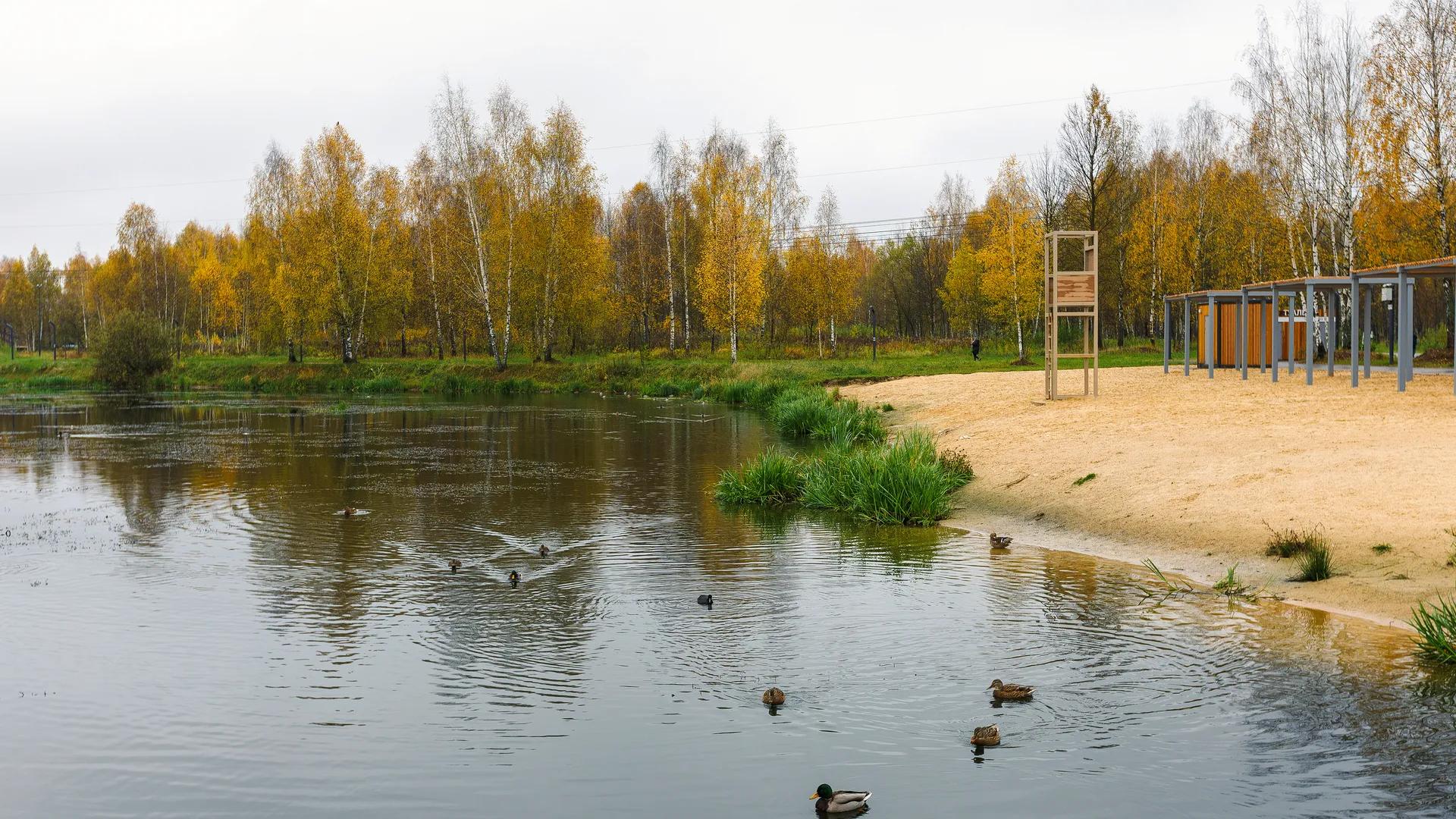 Пляж на набережной городского парка культуры и отдыха г. Ивантеевка осенью