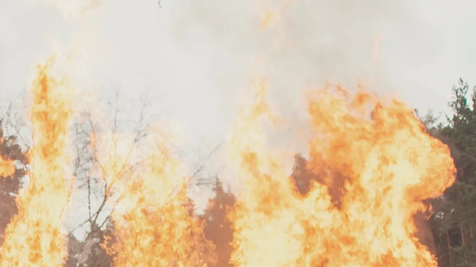 Фото: Наталия Надточая