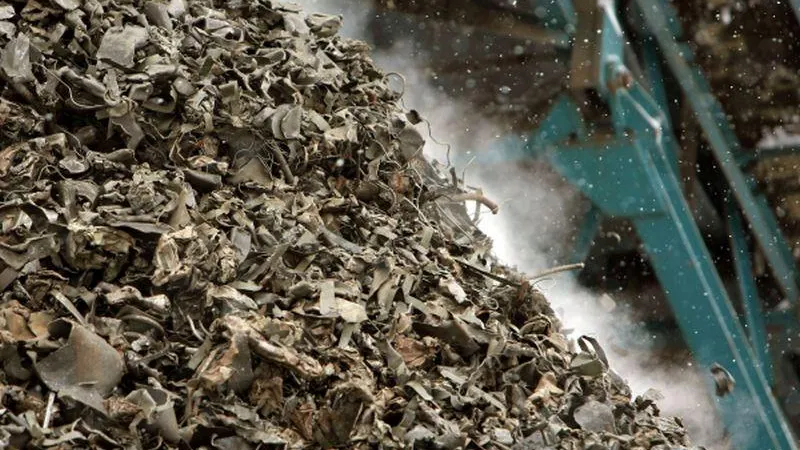 Алексей Даничев/ РИА Новости