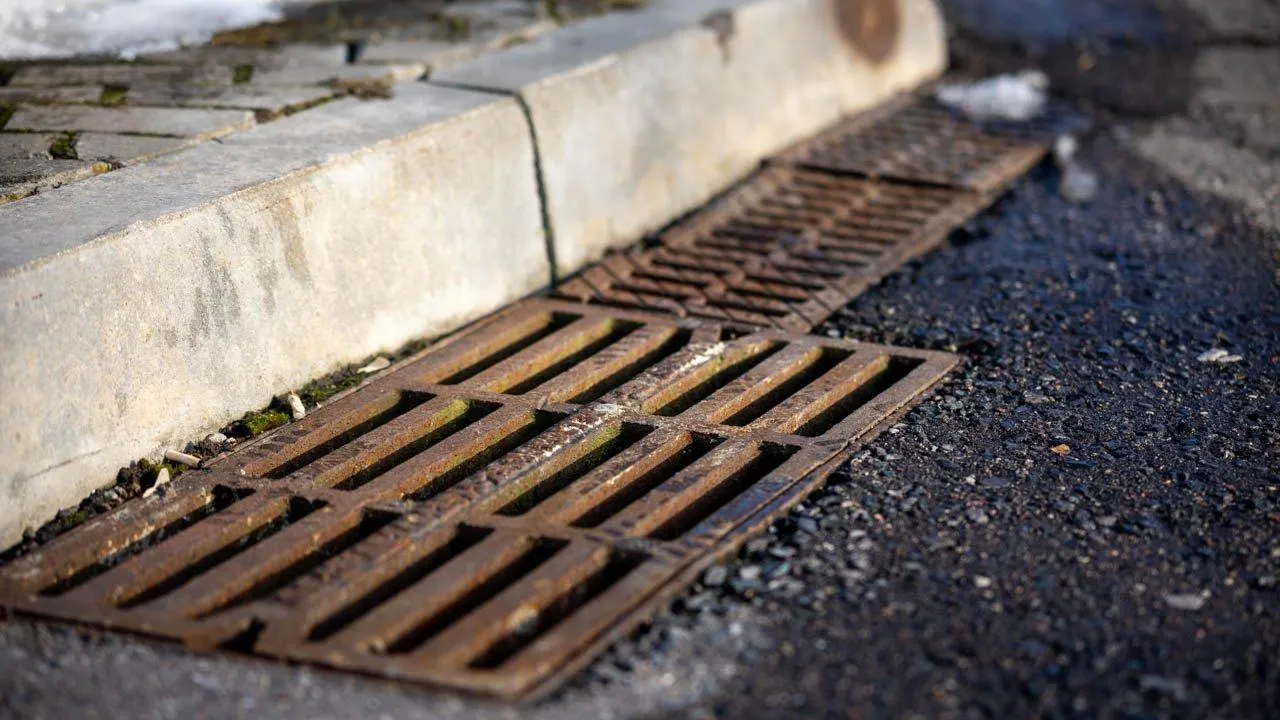 REGIONS/Владимир Ерастов