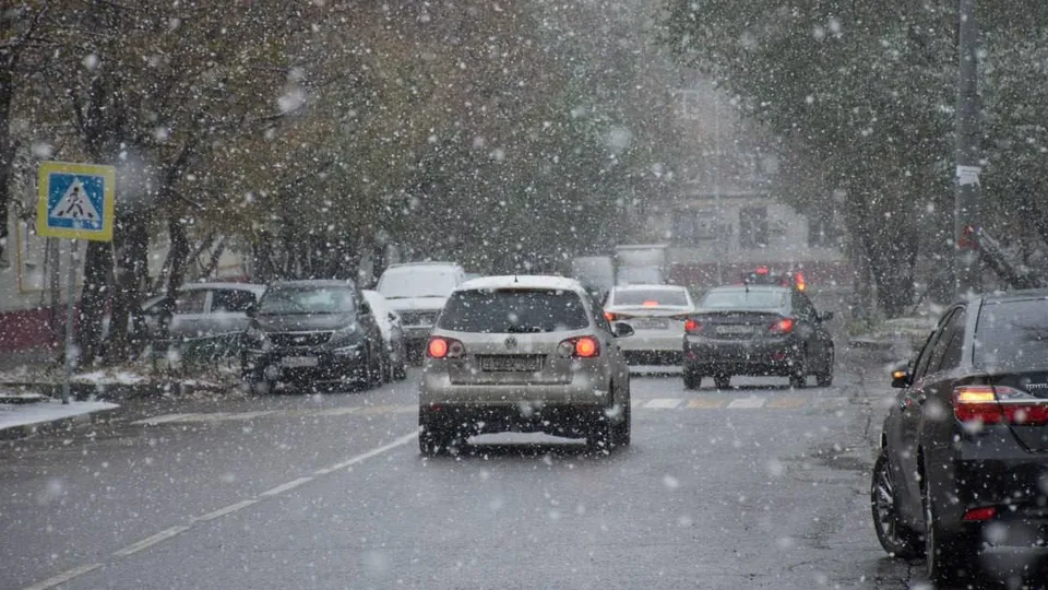 Фото: Министерство транспорта и дорожной инфраструктуры Московской области