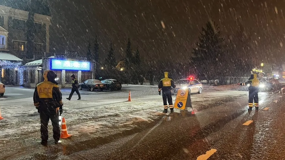 Фото: пресс-служба ГУ МВД России по Московской области