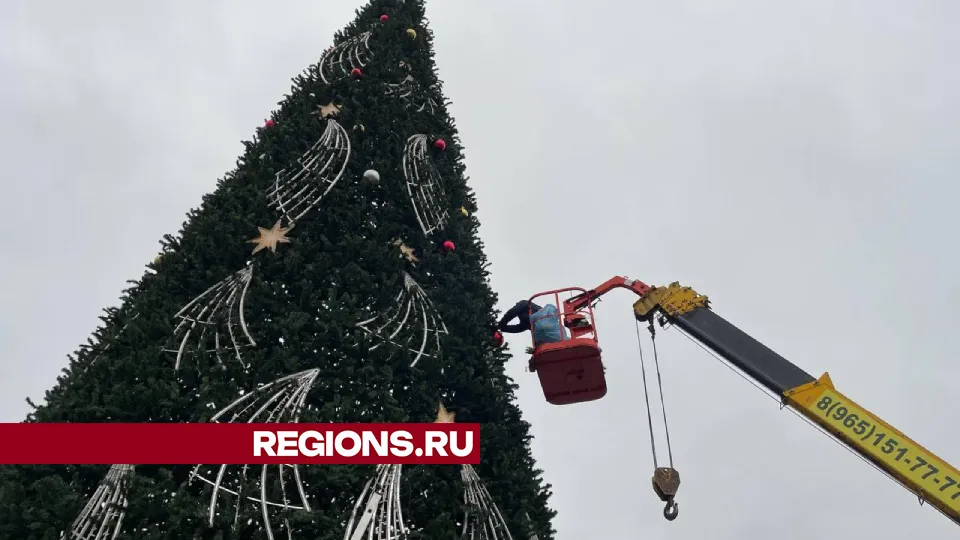 Фото: Евгений Рой