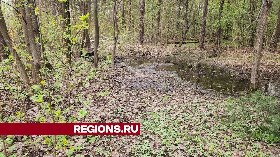 Фото: Ольга Сычева