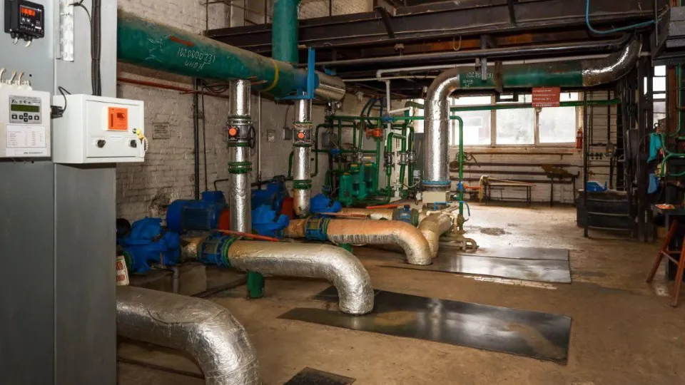 Фото: Раменский медиацентр