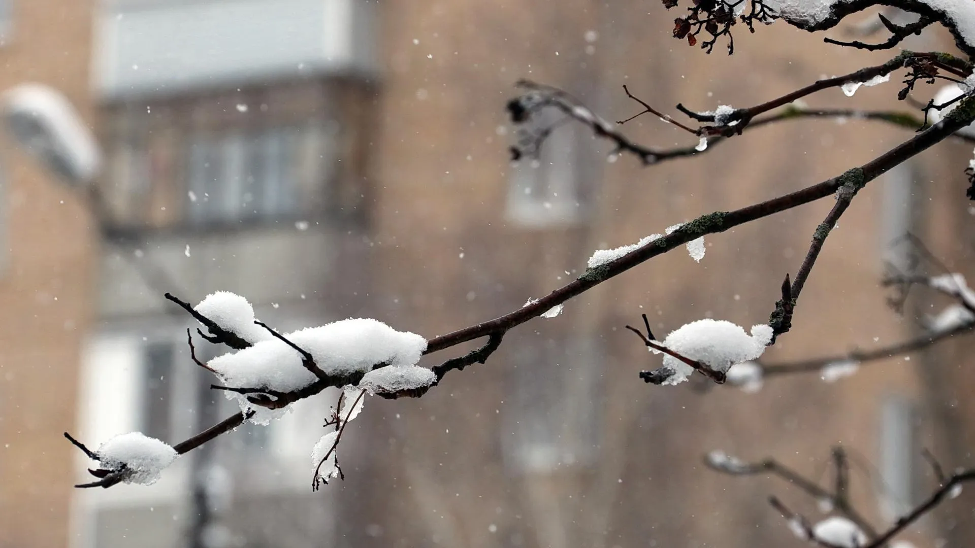 медиасток.рф