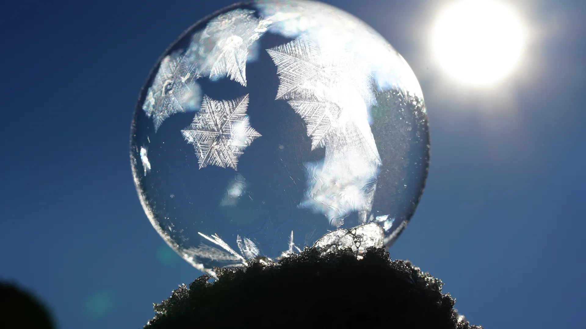 Фото: pxhere.com