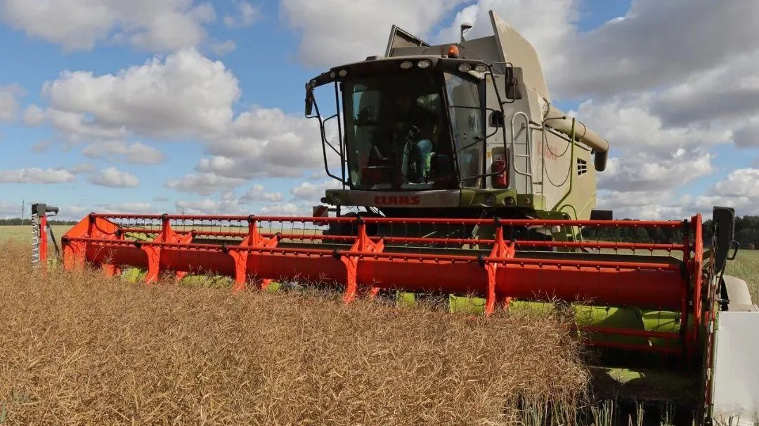 Фото: администрация м.о. Зарайск