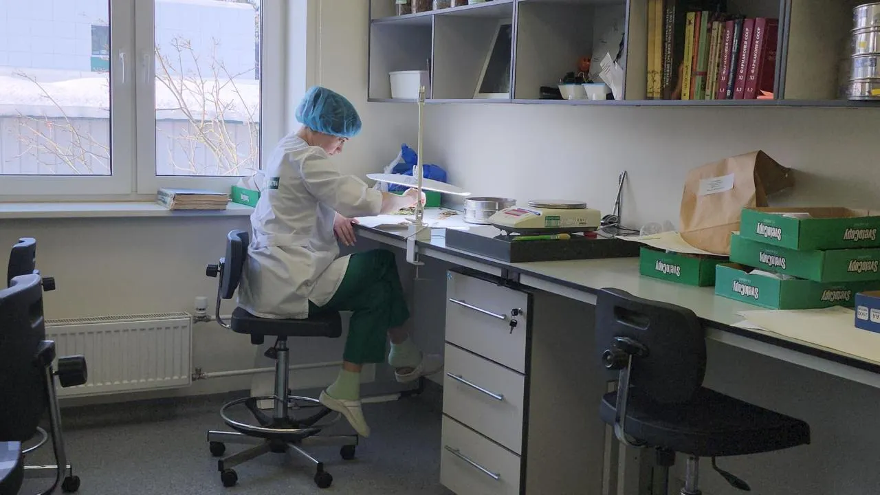 REGIONS/Кристина Ларина