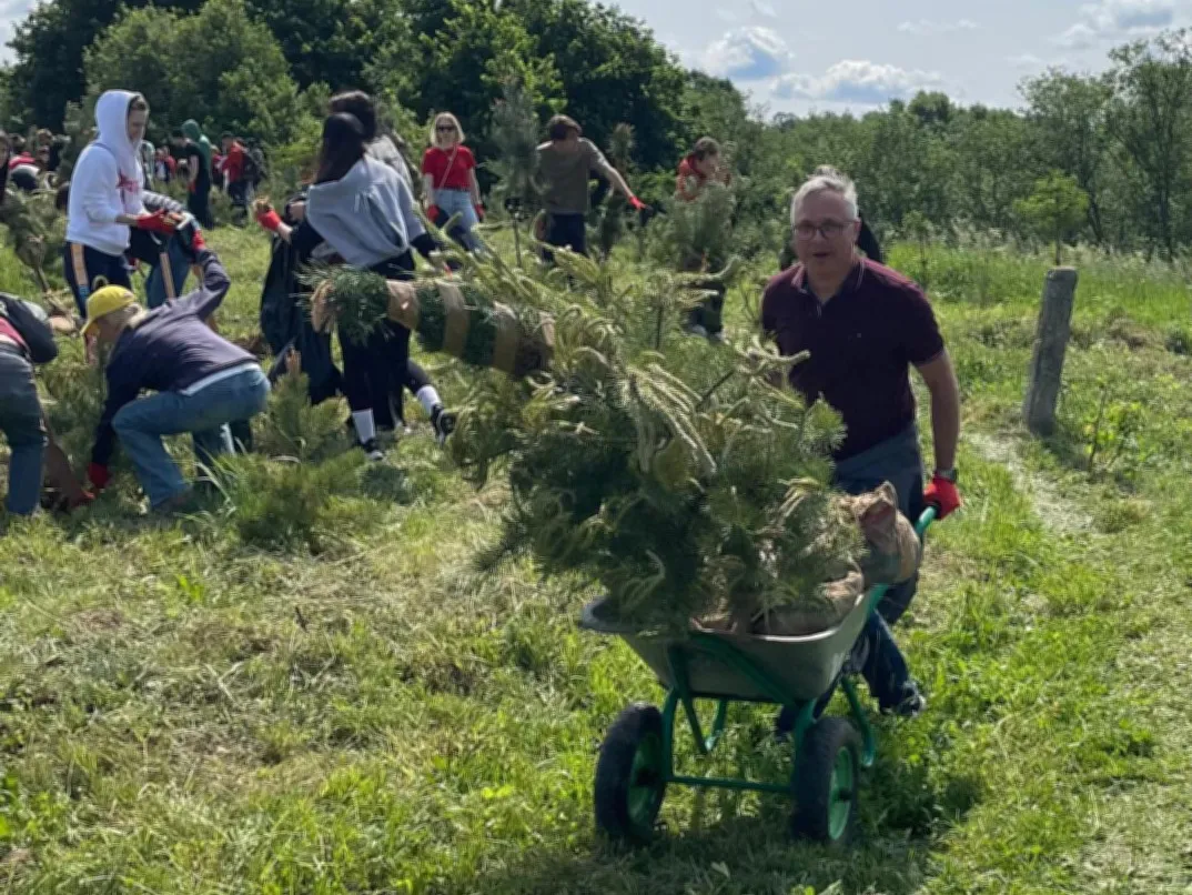 Фото: t.me/museumgol