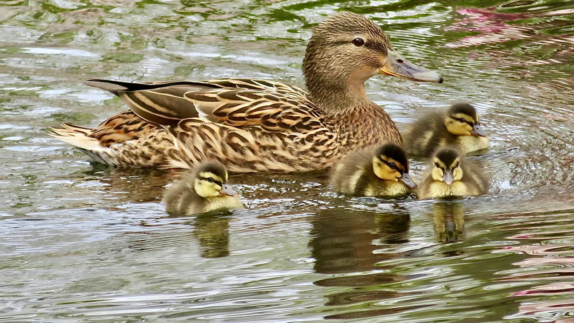 Фото: unsplash.com