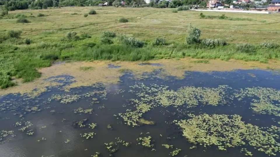 Фото: Минэкологии МО