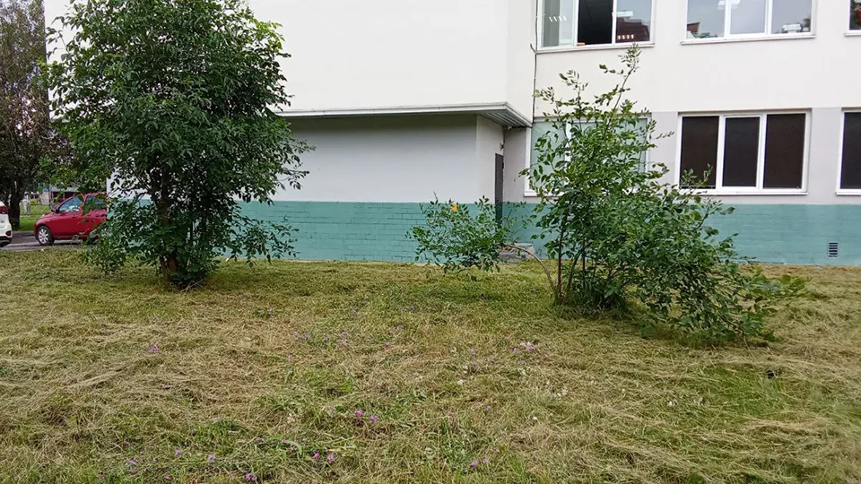 Фото: пресс-служба администрации г.о. Пушкинский