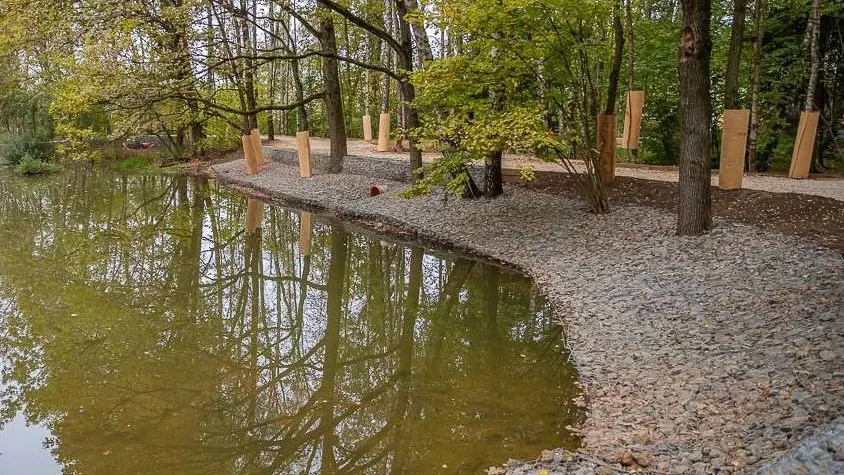 Фото: пресс-служба администрации Одинцовского г.о.