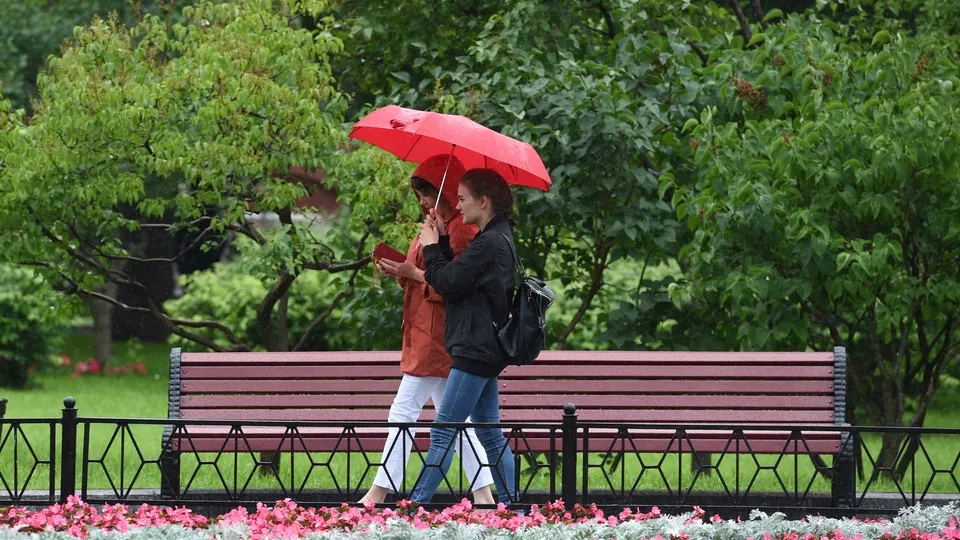 Фото: медиасток.рф