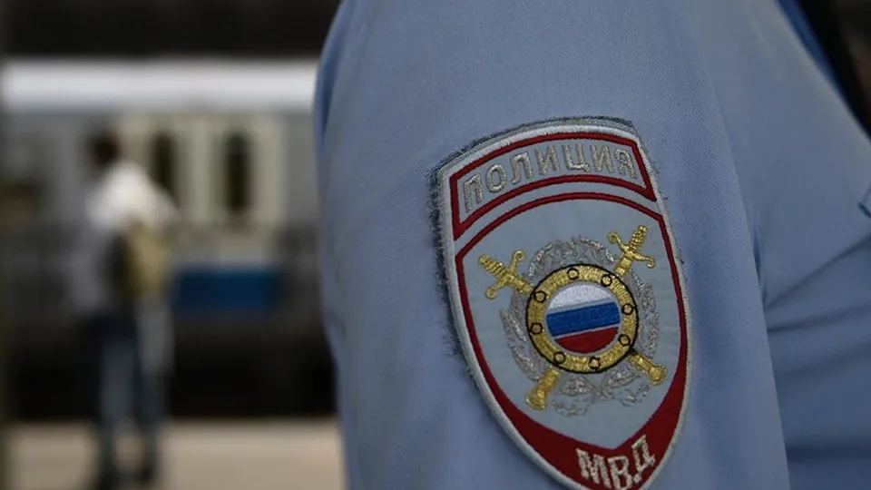 Под Тулой женщину загрызла стая бродячих собак