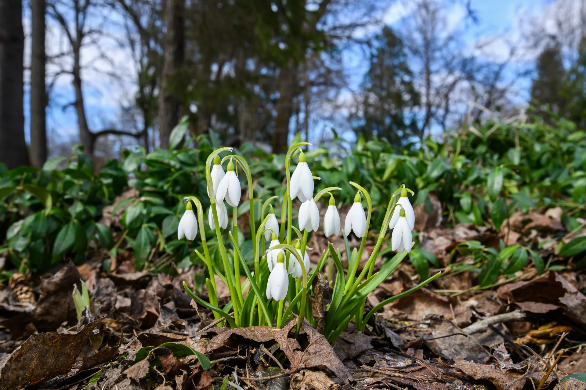 медиасток.рф