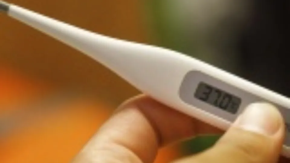 Фото: Медиаархив Московской области