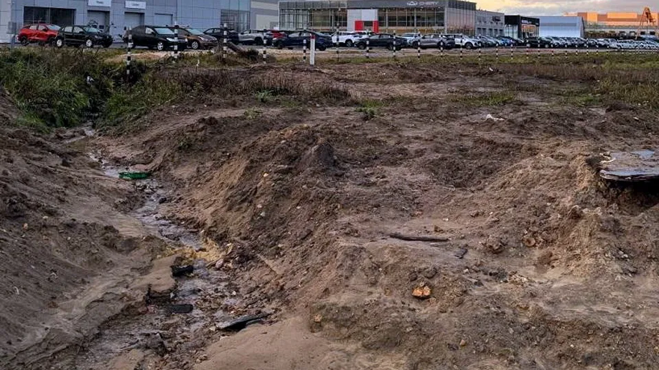 Фото: пресс-служба Минэкологии Московской области