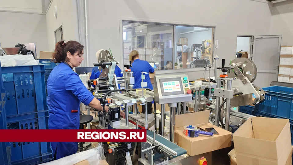 Фото: Екатерина Мелкозерова