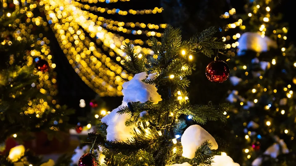 Фото: медиасток.рф