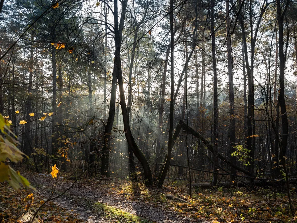 Фото: Антон Кондратюк