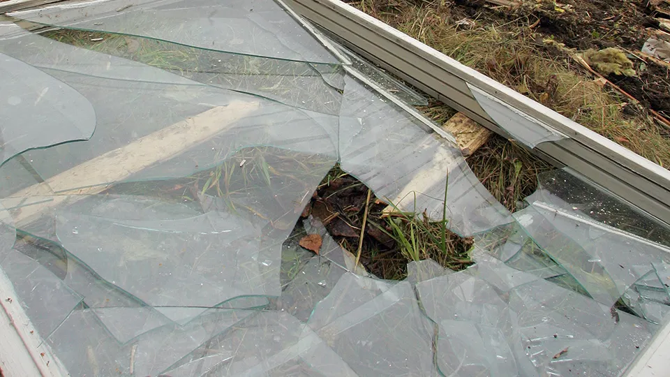 Фото: ИТАР-ТАСС/Виталий Белоусов