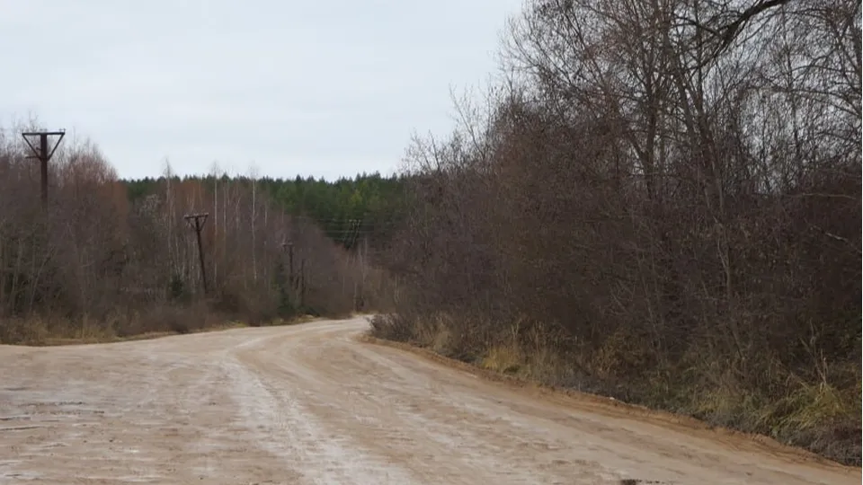 Фото: пресс-служба администрации г.о. Волоколамск