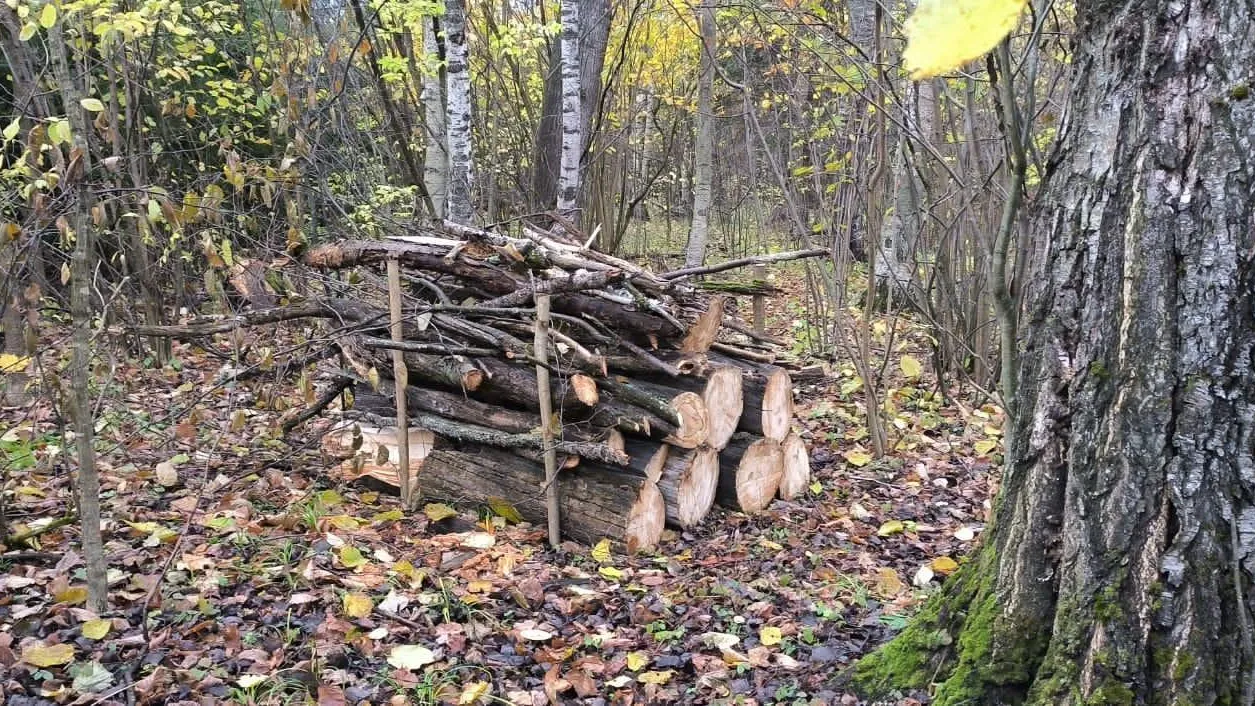 Комитет лесного хозяйства Московской области