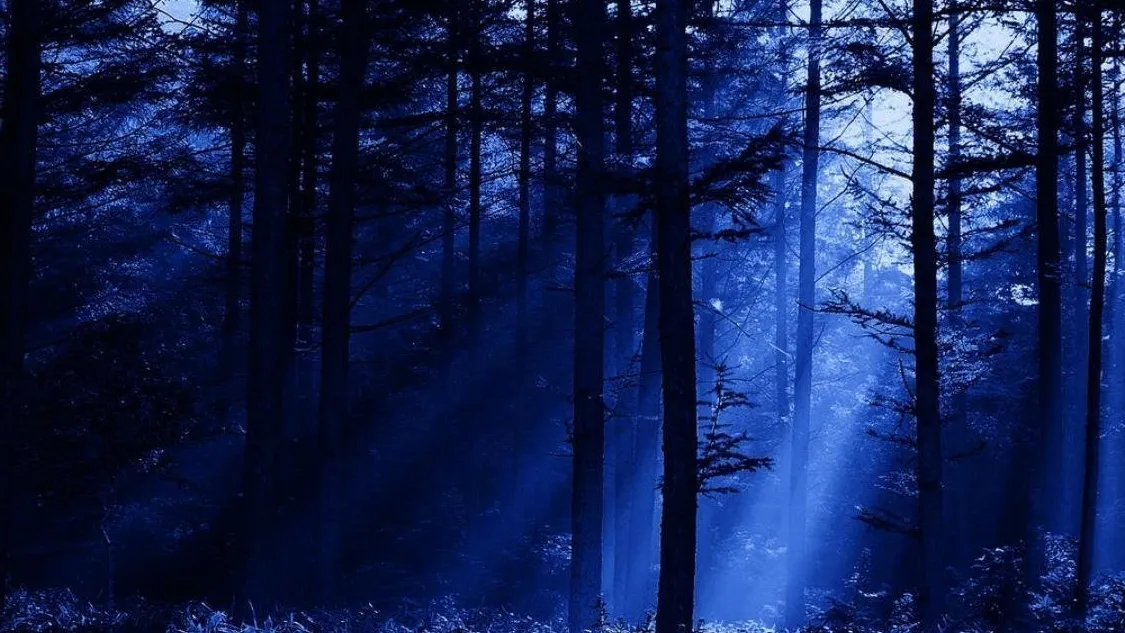 Фото: freepik.com