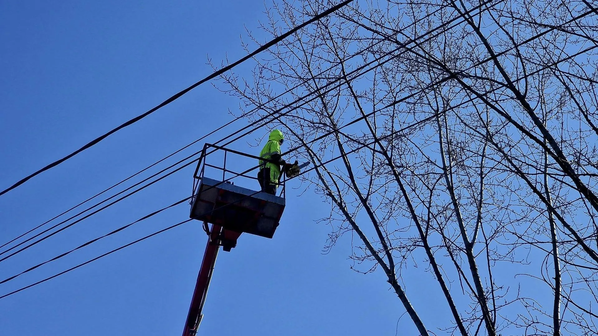 REGIONS/Ольга Шаронова