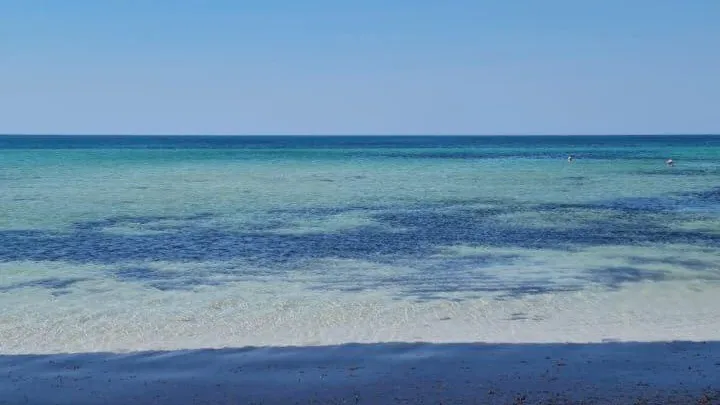 Светлана Гурова