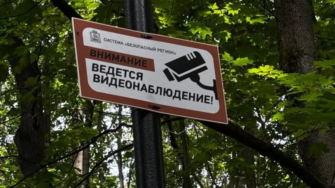 Благодаря «Народному инспектору» в Подмосковье с января оштрафовали более 4 тыс. нарушителей парковки