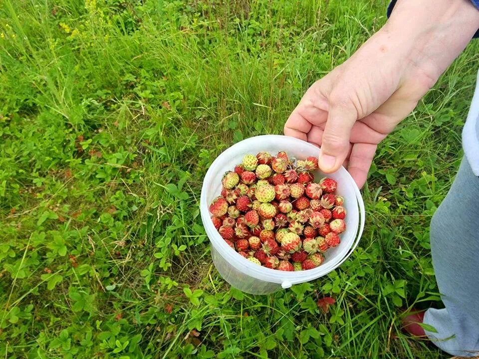 Фото: Мария Панина